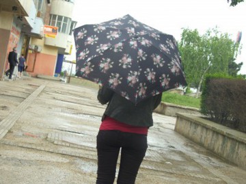 Vânt şi ploaie în Dobrogea
